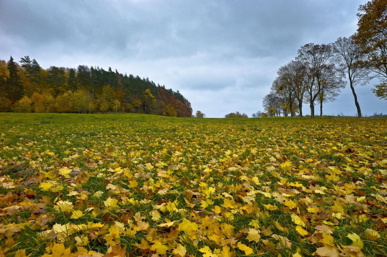 Palac Pacoltowko Exteriér fotografie